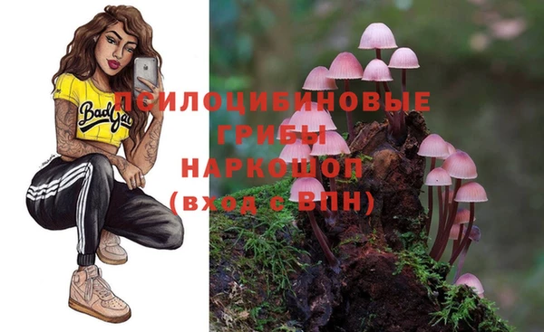 МДПВ Абдулино