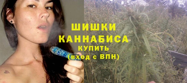 шишки Абинск
