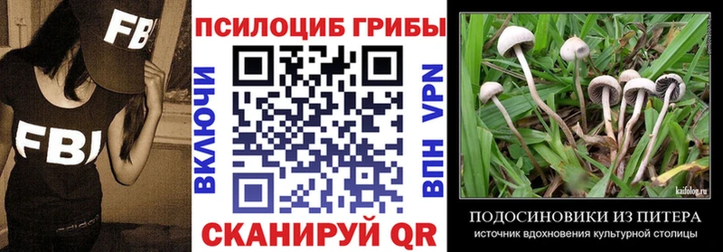 Псилоцибиновые грибы прущие грибы где купить наркоту Алейск
