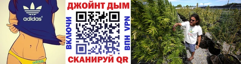 сколько стоит  Алейск  Каннабис VHQ 